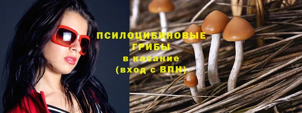 прущая мука Белоозёрский