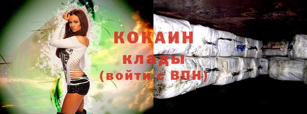 стаф Кинешма