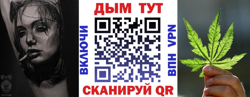 Бошки Шишки план  Волхов 